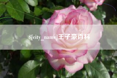 台山王子豪百科