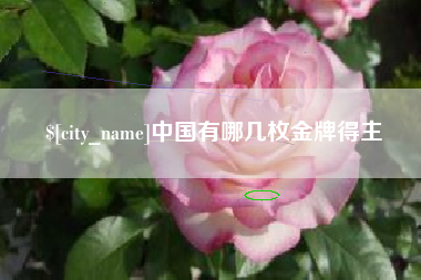 台山中国有哪几枚金牌得主