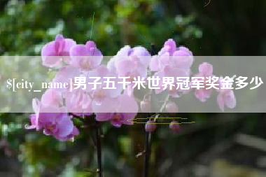 台山男子五千米世界冠军奖金多少