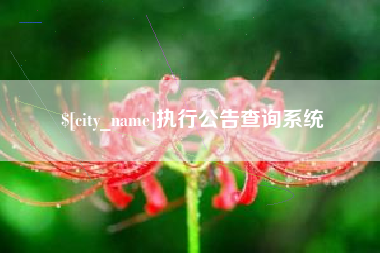 台山执行公告查询系统