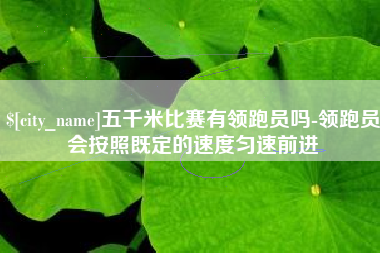 台山五千米比赛有领跑员吗-领跑员会按照既定的速度匀速前进