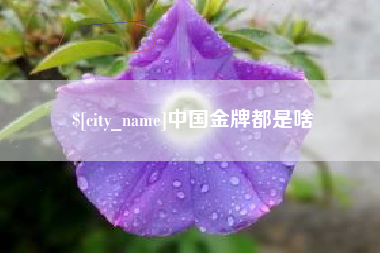 台山中国金牌都是啥