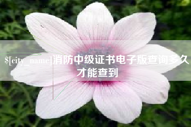 台山消防中级证书电子版查询多久才能查到