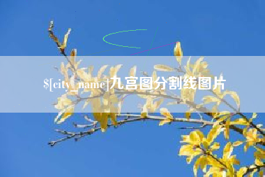 台山九宫图分割线图片