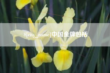 台山中国金牌包括