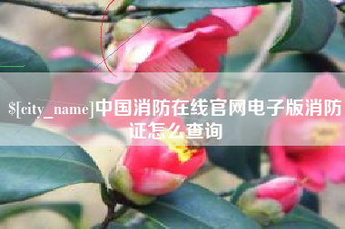 台山中国消防在线官网电子版消防证怎么查询