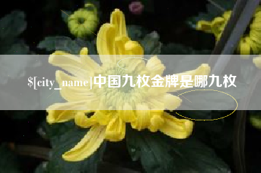 台山中国九枚金牌是哪九枚