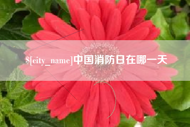 台山中国消防日在哪一天