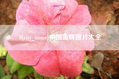 台山中国金牌图片大全
