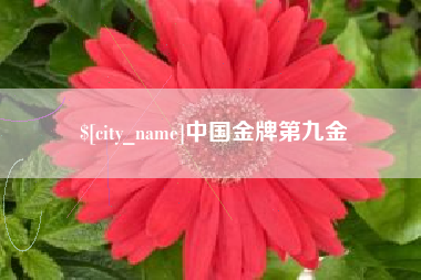 台山中国金牌第九金