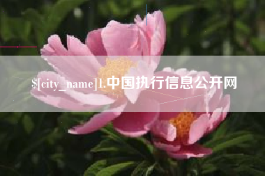 台山1.中国执行信息公开网