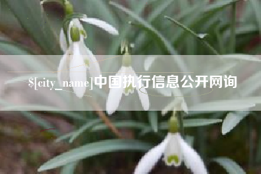 台山中国执行信息公开网询