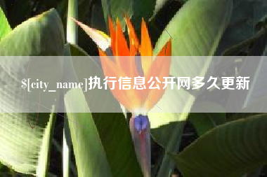 台山执行信息公开网多久更新