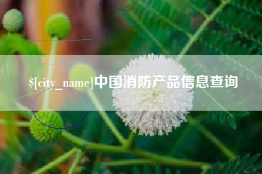 台山中国消防产品信息查询