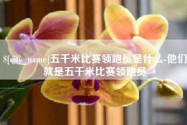 台山五千米比赛领跑员是什么-他们就是五千米比赛领跑员