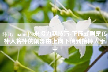 台山60米接力赛技巧-下压式则是传棒人将棒的前部由上向下传到接棒人手中