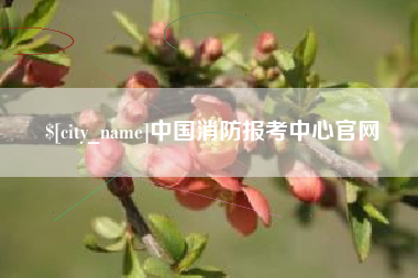 台山中国消防报考中心官网