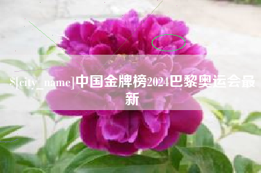 台山中国金牌榜2024巴黎奥运会最新