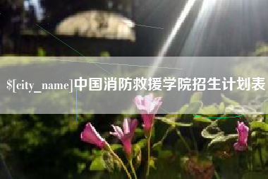 台山中国消防救援学院招生计划表