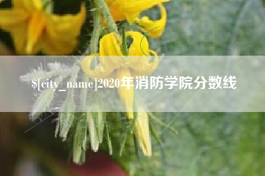 台山2020年消防学院分数线