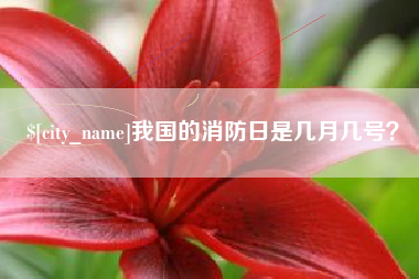 台山我国的消防日是几月几号？