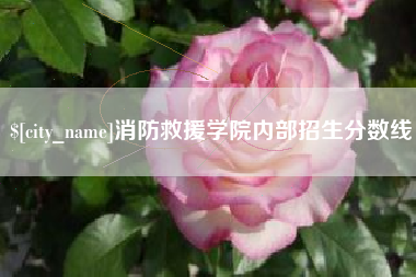 台山消防救援学院内部招生分数线