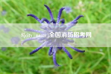 台山全国消防招考网