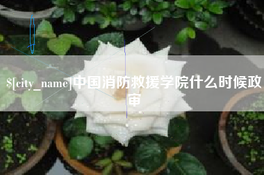 台山中国消防救援学院什么时候政审