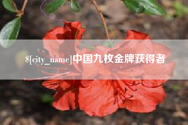 台山中国九枚金牌获得者