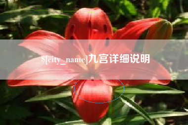 台山九宫详细说明