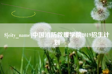台山中国消防救援学院2019招生计划