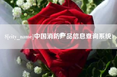 台山中国消防产品信息查询系统1