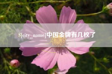 台山中国金牌有几枚了