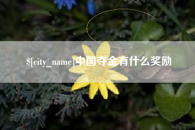 台山中国夺金有什么奖励