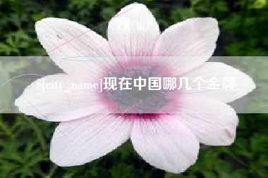 台山现在中国哪几个金牌
