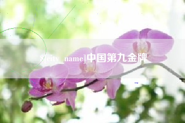 台山中国第九金牌