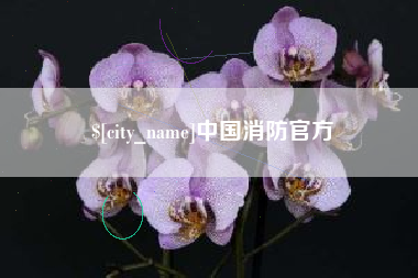 台山中国消防官方