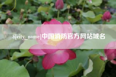 台山中国消防官方网站域名