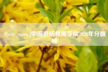台山中国消防救援学院2020年分数线