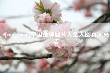 台山中国金牌图片大全大图真实高清