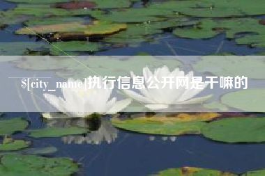 台山执行信息公开网是干嘛的