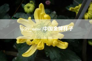 台山中国金牌样子