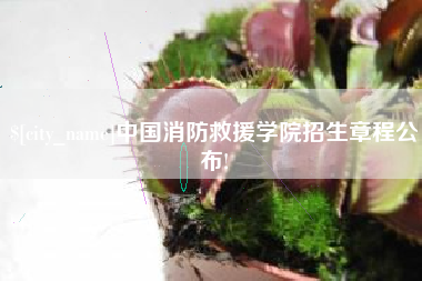 台山中国消防救援学院招生章程公布!