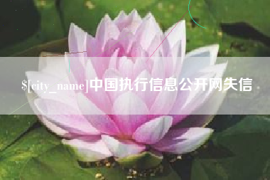 台山中国执行信息公开网失信