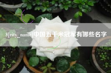 台山中国五千米冠军有哪些名字