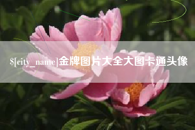 台山金牌图片大全大图卡通头像