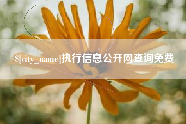 台山执行信息公开网查询免费